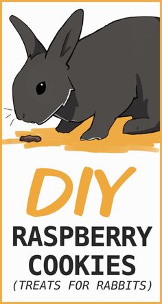 a sign that says diy raspberry cookies treats for rabbits