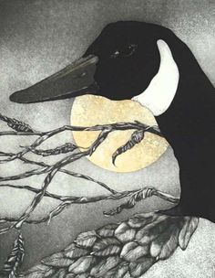 a black and white duck with an orange moon in its beak