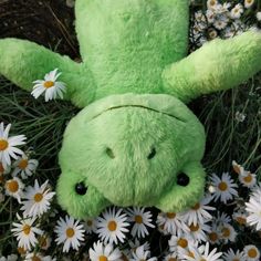 a green stuffed animal laying in the middle of daisies