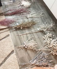 several dried flowers sit on the floor next to each other