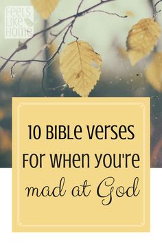 leaves with the words 10 bible verses for when you're mad at god