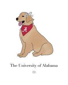 a brown dog with a bandana on it's neck sits in front of the words, the university of alabama