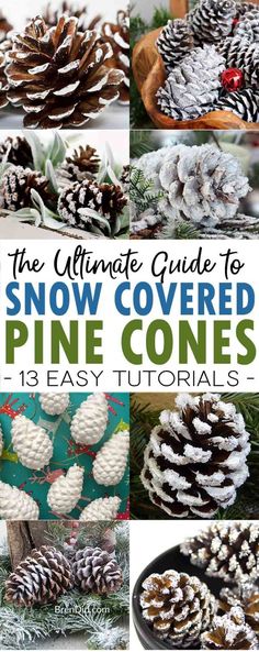 the ultimate guide to how to cover pine cones in 3 easy steps with pictures and instructions