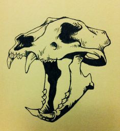 a drawing of an animal skull with its mouth open