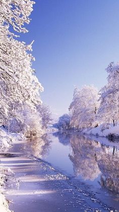 the river is surrounded by snow covered trees