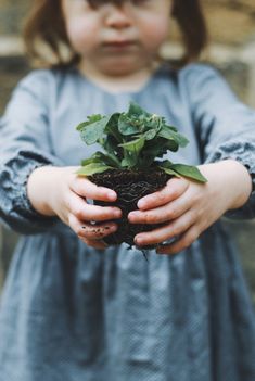 Processed with VSCO with a8 preset Tattoo Plant, Crunchy Moms, Milk Magazine, Grandmas Garden, Vsco Presets, Children's Garden, Plant A Tree, Blue Garden