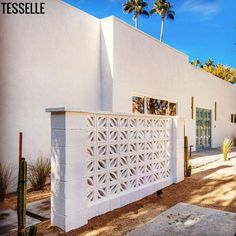 a white house with a cactus tree in the front yard and palm trees behind it