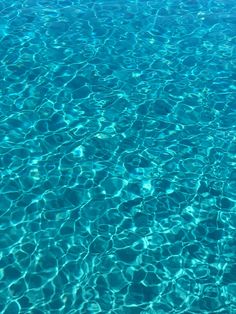 the water is very clear and blue in this photo, it looks like they are floating on