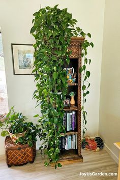 a book shelf filled with lots of books next to a potted plant on top of a hard wood floor