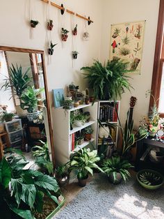 a room filled with lots of plants and books