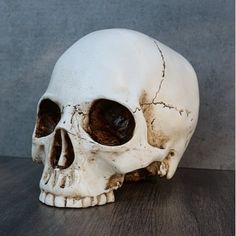 a white human skull sitting on top of a wooden table next to a gray wall