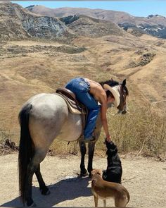 a person on a horse with a dog standing next to it and looking down at the ground