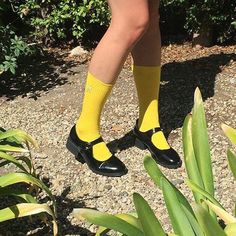 Material: Cotton, Polyester Free Size Cheap Stretch Yellow Socks, Cheap Novelty Yellow Socks, Affordable Playful Yellow Socks, Affordable Yellow Playful Socks, Cheap Playful Yellow Socks, Casual School Socks For Spring, Casual Socks For School In Spring, Casual Stretch Socks For School, Colorful Tights Outfit