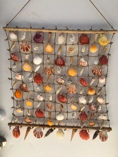 a wall hanging with seashells and sea urchins attached to the side