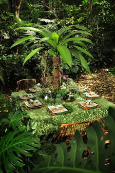 the table is set with plates and place settings for four people to eat in the jungle