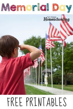 a young boy looking at american flags with the text memorial day homeschooling free printables