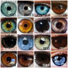 Unique Eyes Color, Rare Eye Colors Gold, Rare Eye Colors Unique, Types Of Blue Eyes, Dark Eye Color, Unique Eye Color, Different Color Eyes, Different Eye Colors, All Eye Colors