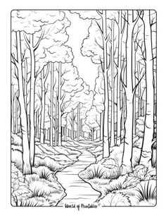 a black and white drawing of a forest scene with trees, grass and stream in the foreground