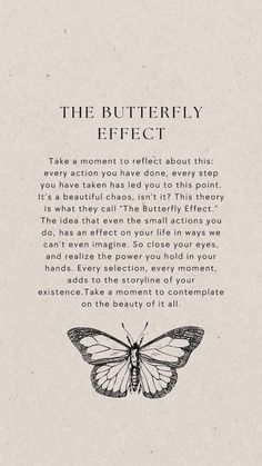 the butterfly effect book is open to reveal information about its surroundings and how it works