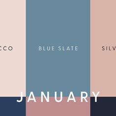 the color scheme for january is shown in blue, pink and gray tones with text that reads