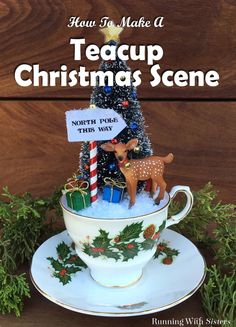 a christmas tree in a teacup with a sign that says north pole their way