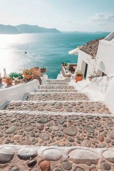 the stairs are made of stone and have potted plants on each side, along with water in the background