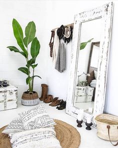 a room with white walls and flooring has a mirror, rugs, plants, and shoes on the floor