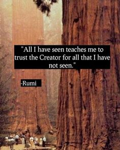 an image of people standing in front of trees with a quote from rumi on it