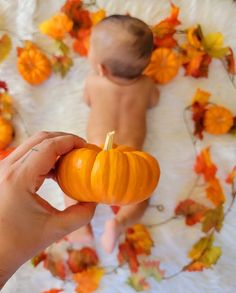 Cute baby fall photo idea for boys Fall Baby Picture Ideas, Baby Picture Ideas, Monthly Pictures