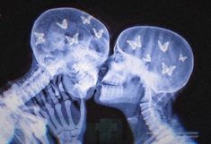 two skeletons kissing each other with butterflies on their heads