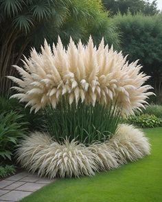 some very pretty white plants in the grass