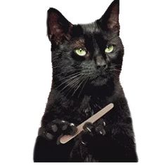 a black cat with green eyes holding a knife in its paws and looking at the camera