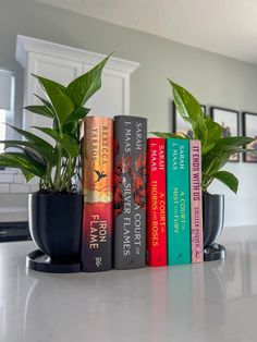 a row of books sitting on top of a counter next to a potted plant