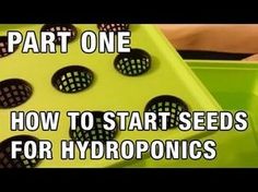 how to start seeds for hydroponics