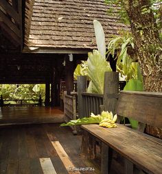 a wooden bench sitting on top of a wooden floor next to a lush green forest