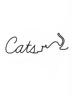 the word catson written in cursive writing on a white background with black ink