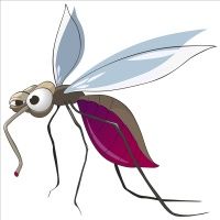 an insect with big eyes and long legs is standing on its hind legs, it's wings are spread wide