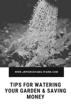 water spouting from a watering hose with the words tips for watering your garden and saving money