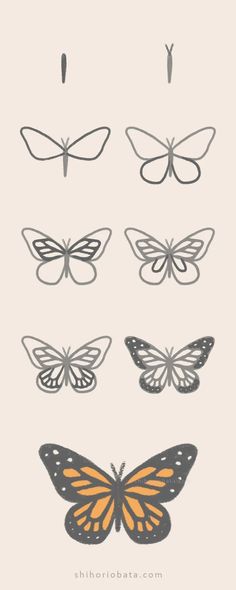 the different types of butterflies are shown in this graphic style, including one orange and two black