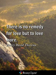 there is no remedy for love but to love more