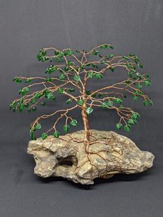 a bonsai tree on a rock with green leaves growing out of it's roots