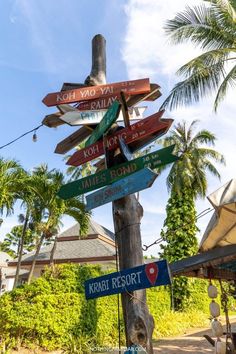 a wooden pole with many different colored signs on it's sides and palm trees in the background