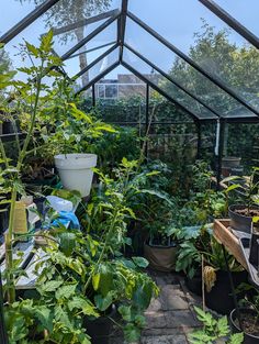 a greenhouse filled with lots of green plants and potted plants in the middle of it