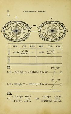 Dispensing Optician, Eye Anatomy, Human Body Organs, Big Data Technologies, Eye Illustration