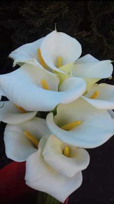 white flowers are in a red vase outside