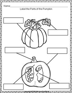 the parts of a pumpkin worksheet for kids to practice their english labeling skills