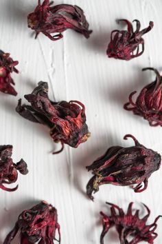 dried red flowers on a white surface