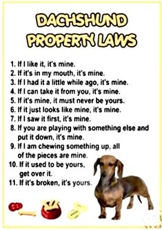 a dachshund property laws poster is shown