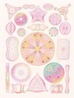 a drawing of different types of objects in pink and yellow on a white paper background