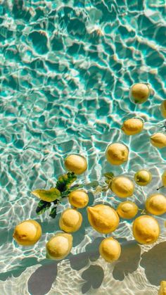 lemons floating on the surface of a swimming pool